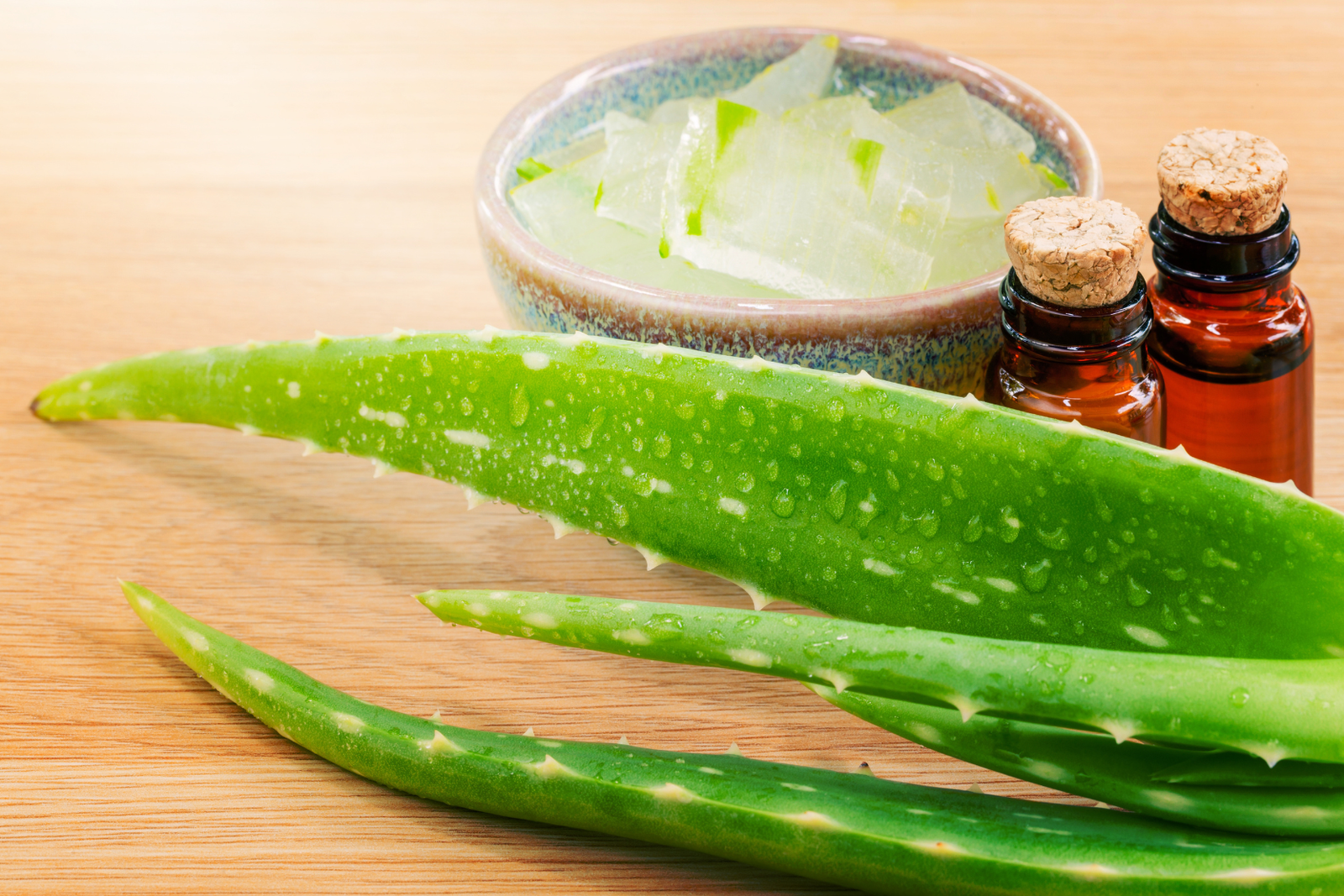 Aloe Vera & Kalahari Melon Oil on a wood table