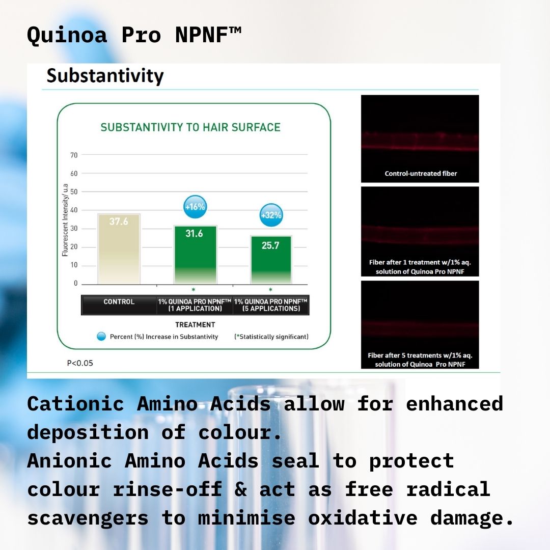 Quinoa Substantivity Study